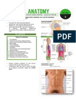 Abdominal Wall Edited Word