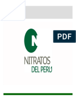 Proyecto NITRATOS DEL PERU PDF