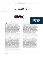  Divine Bull Tur - Raif Esmerovic