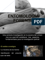 Entomologia Forense