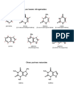 Estructura de Bases