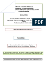 Semana 4. Glicólisis, Gluconeogénesis