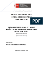 Informe #01-2011 de Monitores Ivp Lucanas