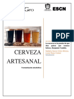 Cerveza Artesanal Ensayo