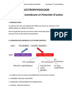 Electrophysiologie (PM+PA)