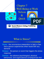 Stress & Well-Being at Work Nelson & Quick