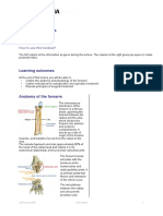 FSP ORP Handout English Forearm Fractures Final-3