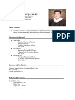 Resume of Mr. Jenesis Christian F Palad