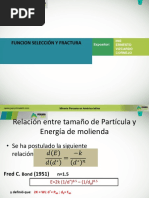 Funcion Seleccion y Fractura