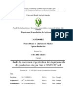 These Sur Les Protections Contre La Corosion A Hassi R'mel PDF