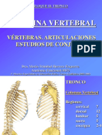 Columna Vertebral 