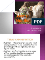 Animal Nutrition Original