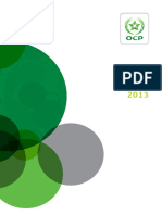 Rapport Activite Ocp 2013 VF