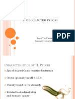 Elicobacter Pylori: Yong Yiu Cheung Summer Volunteer