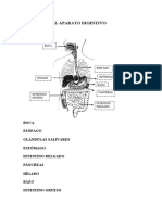 Apuntes de Anatomía