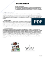 Tarea (Proyecto Economia)