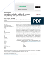 Macrophage Activation and Its Role in Repair and Pathology After Spinal Cord Injury