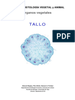 Atlas Del Tallo