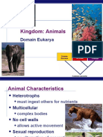 Kingdom: Animals: Domain Eukarya