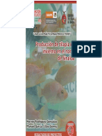 Producción de Tilapia en Invierno en El Norte de Sinaloa. SAGARPA PDF