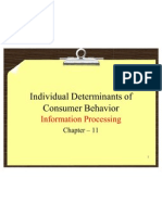 Individual Determinants of Consumer Behavior: Information Processing