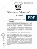 RD #061-2016-MTC-21 Instructivo Técnico PDF