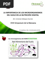 La Importancia de Los Microorganismos Del Suelo en La Nutrición Vegetal