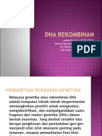 Dna Rekombinan