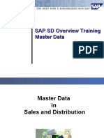 SAP R3 SD Overview Master Data