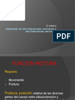 Síndrome de Motoneurona Superior y Motoneurona Inferior Reparado