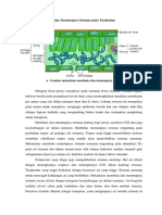 Membuka Dan Menutupnya Stomata