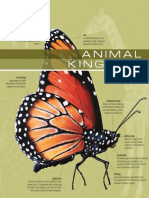 The Visual Dictionary of Animal Kingdom PDF