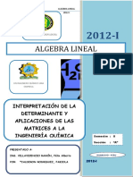 Interpretación de Determinantes y Aplicaciones de Matrices