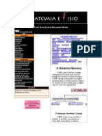 Anatomia Do Cérebro