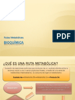 Rutas Metabólicas