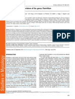 Identificacion de Penicillium