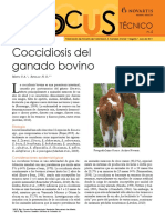 Coccidiosis Bovina