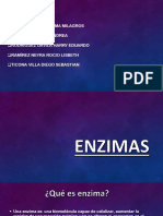 En Zimas