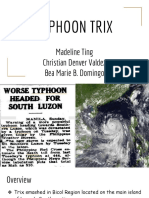 DRRR (Typhoon Trix) X