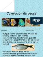 Coloración de Peces