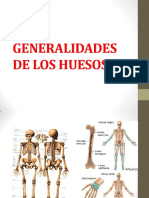 Generalidades de Los Huesos