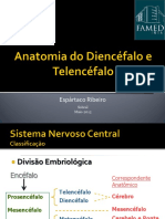 Anatomia Diencefalo e Telencefalo INTA 05.2015 Final