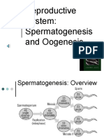 Reproductive System Function