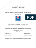 A Project Report: On Study of Microfinance (Self-Help Groups)