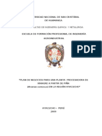 Plan de Negocios Vinagre de Pina PDF