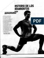 Estiramientos Sportlife