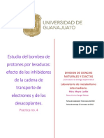 Practica 4. Bombeo de Protones Por Levaduras: Efecto de Inhibidores y Desacoplantes.