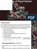 Renal Pathology Lectures - PPT Series