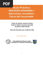 R2 - Guia Resuelta Consumidor