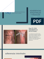 Adherencias Intestinales y Volvulos